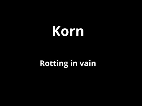 Korn - Rotting in vain [guitar cover]