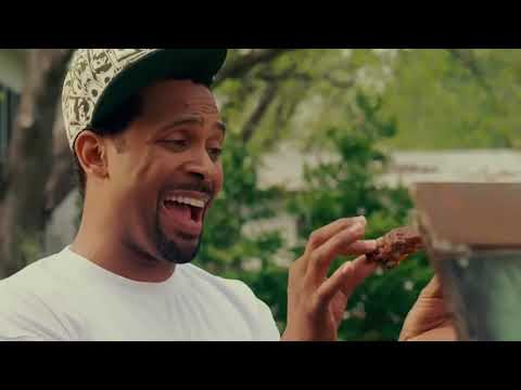 Welcome Home Roscoe Jenkins - Barbecue Scene