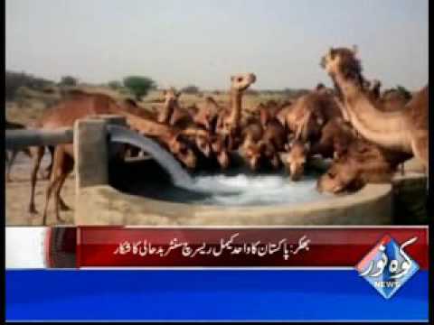 Kohenoor Regional News 2016-08-26 At 04:00 PM