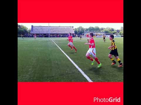 Compilatie foto's Theole