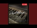 Piano Sonata No. 18 in E-Flat Major, Op. 31, No. 3: II. Scherzo - Allegretto vivace