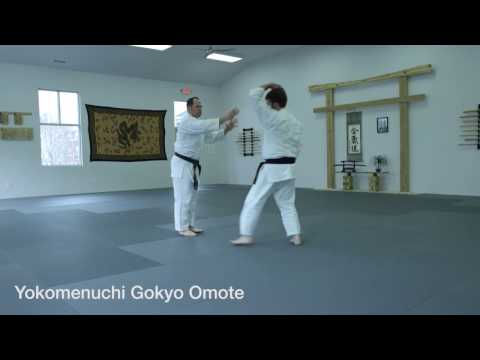 USAF Nikyu (2nd Kyu) Test Requirements