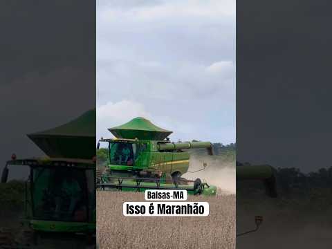 Colheita no Maranhão Balsas