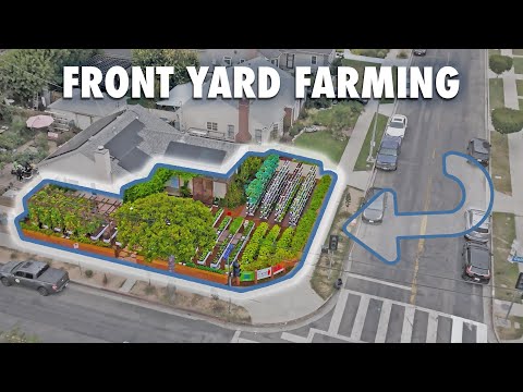 How Crop Swap LA Is Growing Food Justice - with Front Yard Gardens