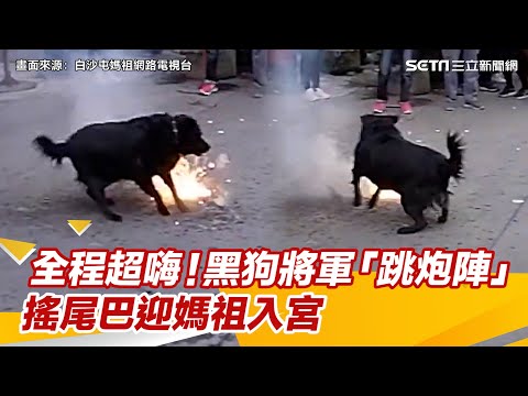 全程超嗨！黑狗將軍「跳炮陣」搖尾巴迎媽祖入宮