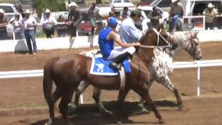 tarahumara vs estrella vs moro nublado