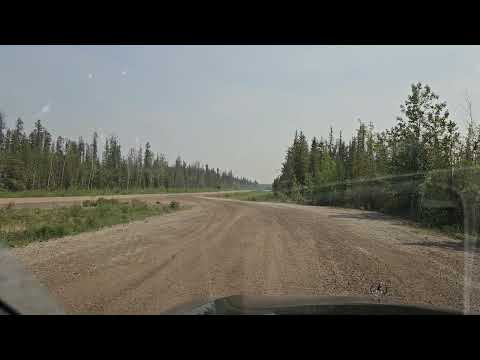 Canadian Black Flies from Hell