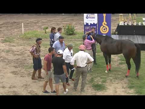 SINT PAYSANDU 230407 c01 1° QUE DOMINGO