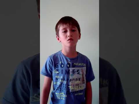 Dach - Olivier Rybicki