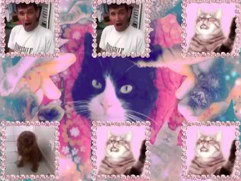 Happy Birthday Severine