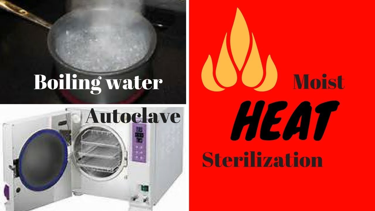 Moist Heat Sterilization: Microbiology