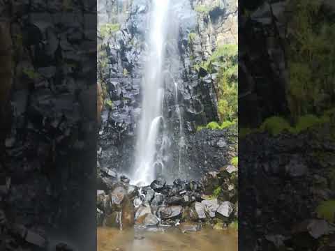 Cauca Totoró