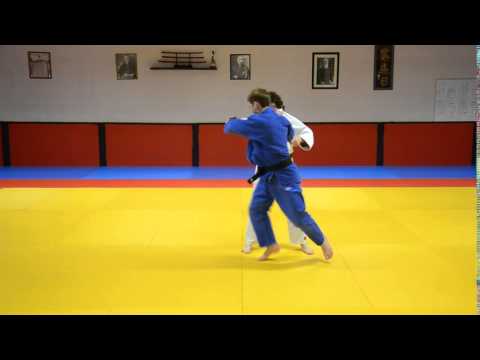 18.🥋  双手落  Morote Otoshi