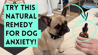 Bach Flower Remedy for Dog Anxiety? Does It Work?