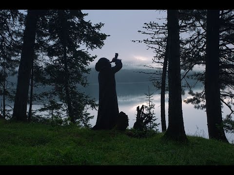 LIHOLESIE - The Fog of Transition (excerpt)