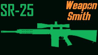 SR25 - WS