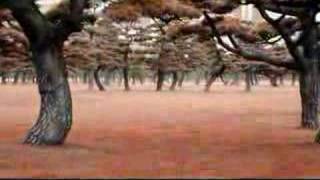 Fooled around and fell in Love