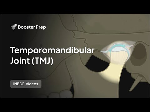 Head and Neck Anatomy | Temporomandibular Joint (TMJ) | INBDE, NDEB, ADAT