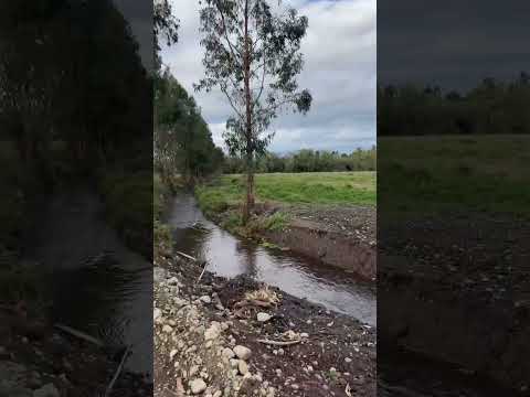 Parcelas a 10 minutos de Longavi. #nature #parcelas #campo #chile #travel #parcela #credito #maule