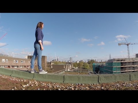 Class Heroes short superhero film: The Hunt For Lolly Rosewood