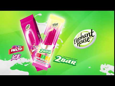 Elephant House 2Bar and Necto Ice