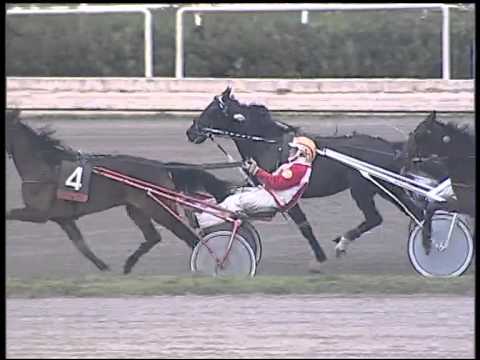 Trotto 20/01/2015 - 2° Corsa