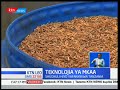 Teknolojia ya mkaa mbadala Tanzania