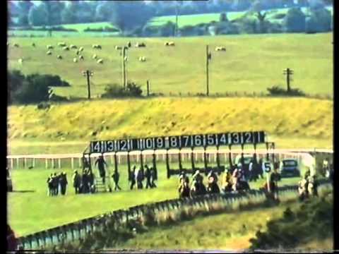 1986 Moyglare Stud Stakes Minstrella Full Race