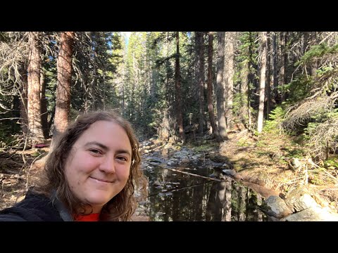 Exploring Northern California & Southern Oregon 🌲 Travel Vlog