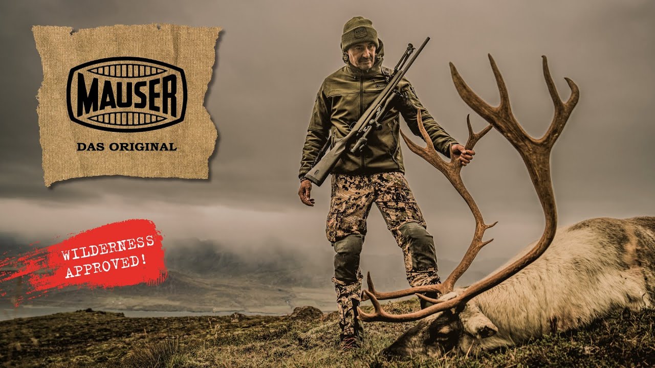 Reindeer hunting in Iceland