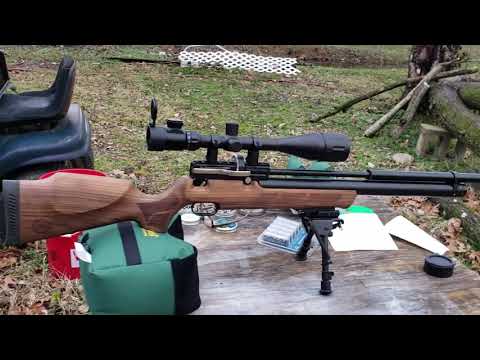 Karl Puncher Mega .25 cal