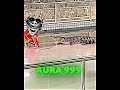 Unlimited Aura ️ Trollface Edit Troll