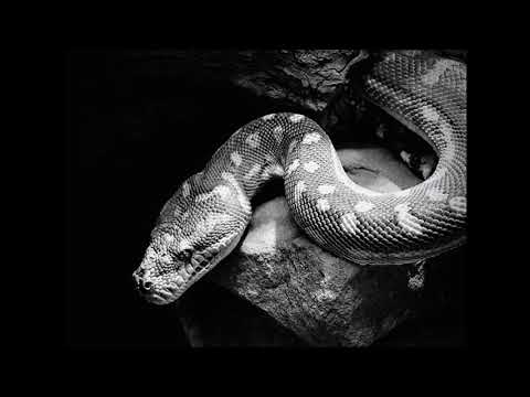 PRN(PGU) - Życie dusi