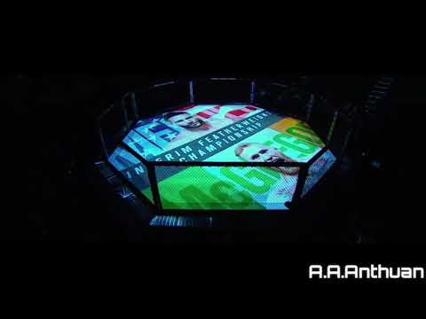 Conor McGregor -Linkin Park- IN THE END - UFC- Motivation