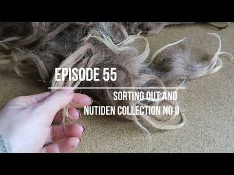 intro ep 55 sorting out and nutiden collection no II