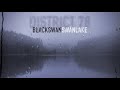 BLACK Swan SWAN Lake District 78 Swan Lake Remix