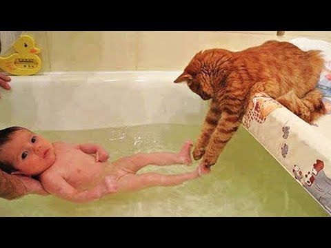 New Funny Animals 😂 Funniest Cats and Dogs Videos 😺🐶 Part 14