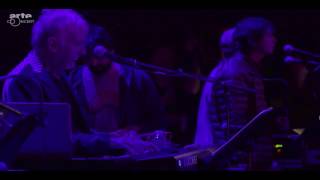 Animal Collective and John Cale - There She Goes Again