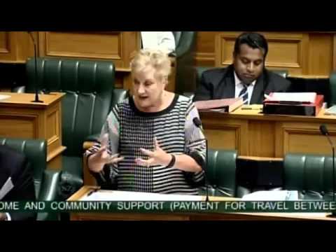 Home and Community Support Settlement Bill - Committee Stage - taken as one debate - Part 1