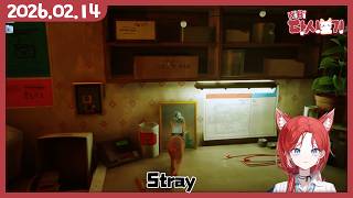 [2026/02/14 Stray]