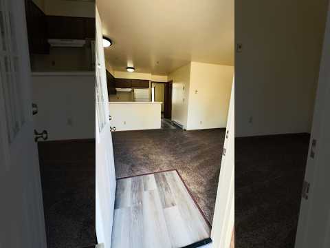 2851 - 2869 Chestnut Dr - Video 2 of 2