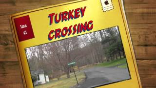 Turkey crossing