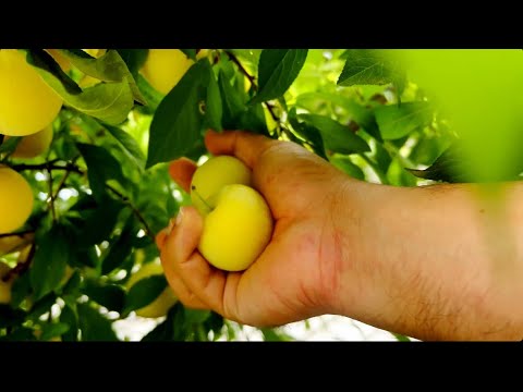 I like spring for everything