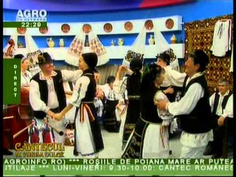 ANSAMBLUL FRATA, jud CLUJ - 5