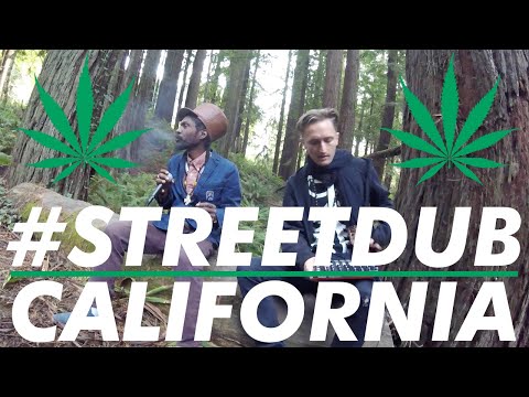 Alpha Steppa x Arkaingelle - Herbalist (Humboldt, California) #streetdub E37