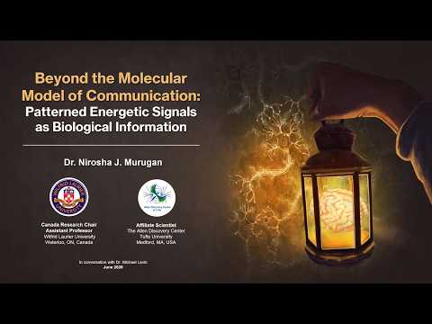 "Beyond the Molecular Model of Communication" by Nirosha Murugan