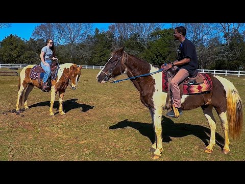 My First Time Horseback Riding Goes TERRIBLY Wrong !!