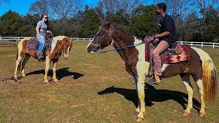 My First Time Horseback Riding Goes TERRIBLY Wrong !!