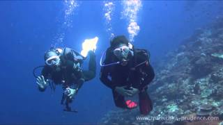 Diving in Batu Bolong, Komodo