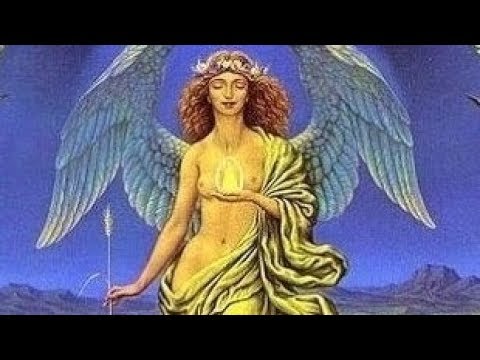 Great Charity Shop Finds No 99 - The Sunkings: 'Galapagos'